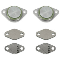 2.7 V6 HDi TDV6 EGR Verwijder Kit Citro&euml;n Jaguar Land Rover Peugeot X8R0021